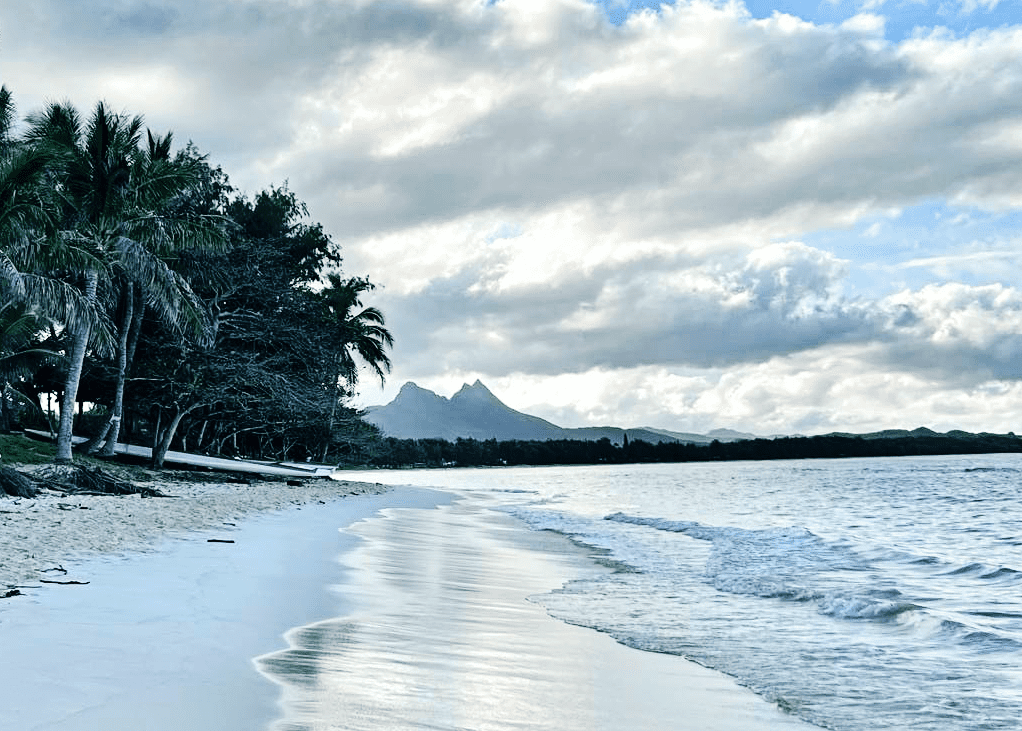 Read more about the article 7 Essentials for Hawaii