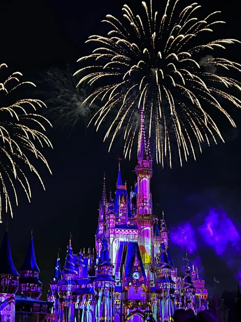 Read more about the article Top 7 Disney Tips to Make your Vacation Magical!